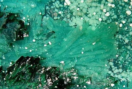 Atacamite Olivenite & Picropharmacolite