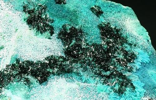 Atacamite Olivenite & Picropharmacolite