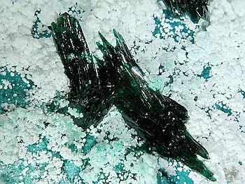 Atacamite Olivenite & Halloysite