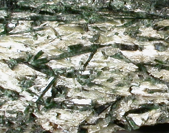 Actinolite