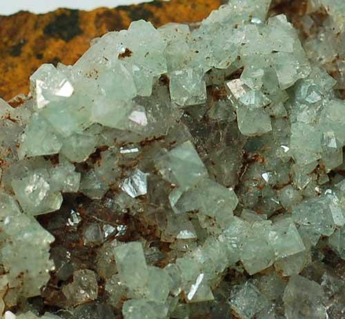 Cuprian Adamite