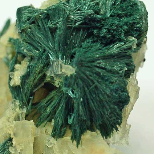 Gormanite On Albite