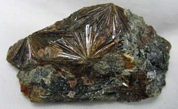 Lamprophyllite