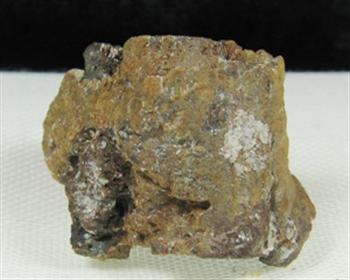 Tantalite-(Mn) Psm Simpsonite