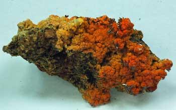 Vanadinite With Descloizite