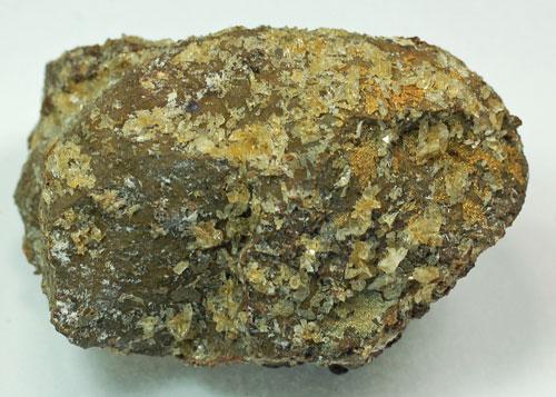 Whewellite