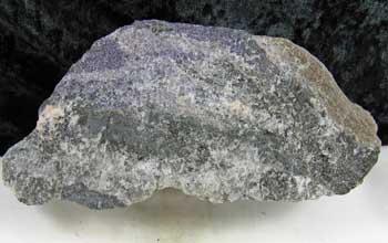 Winchite