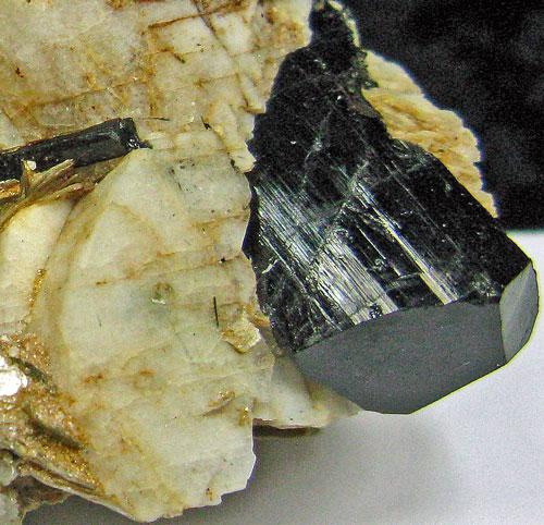 Schorl With Muscovite & Albite