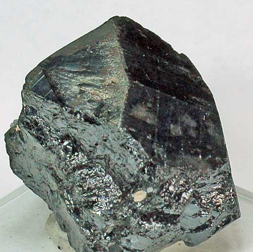 Tapiolite-(Fe)