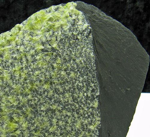 Wavellite