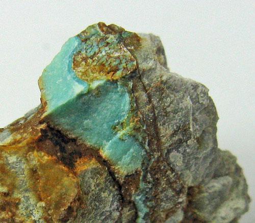 Turquoise