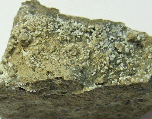 Zeophyllite