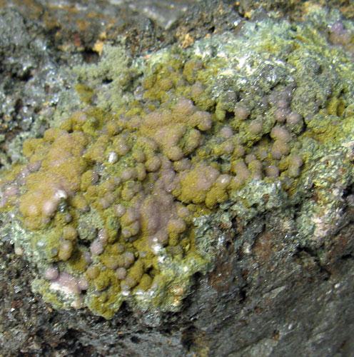 Kidwellite