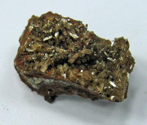 Paradamite