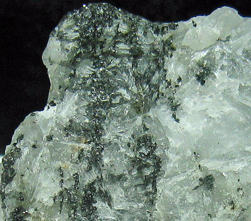 Priderite