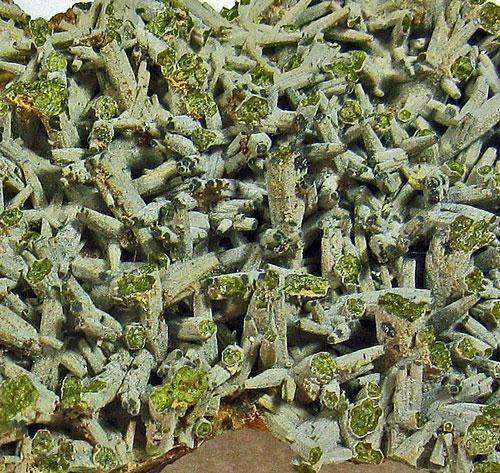 Pyromorphite