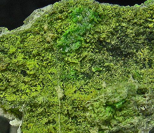 Bayldonite