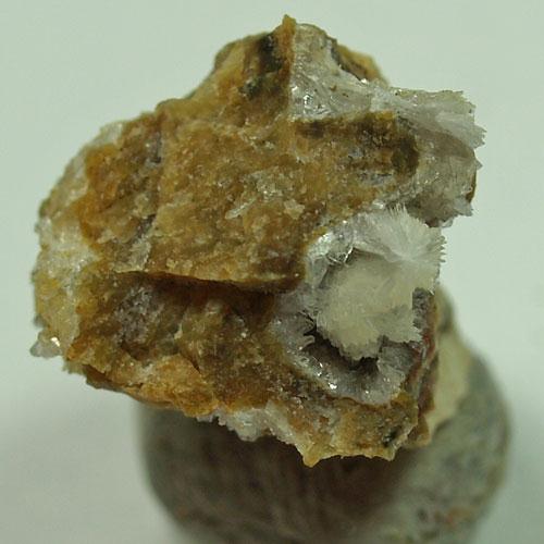 Brucite