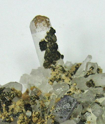 Jeanbandyite