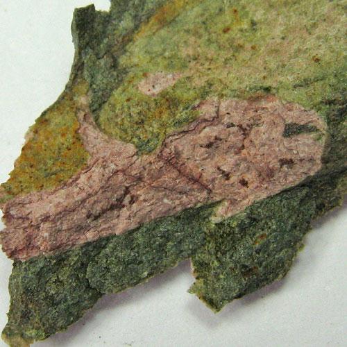 Laumontite Var Leonhardite