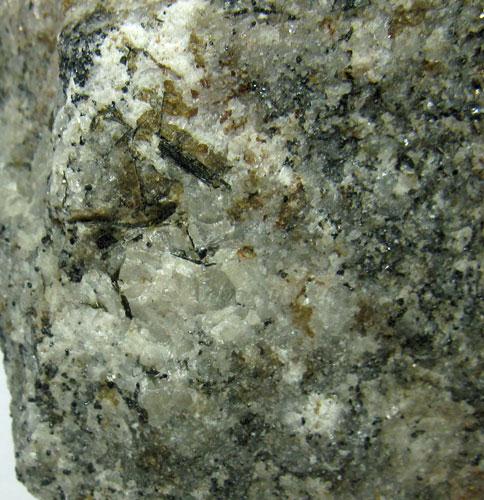 Orthopinakiolite