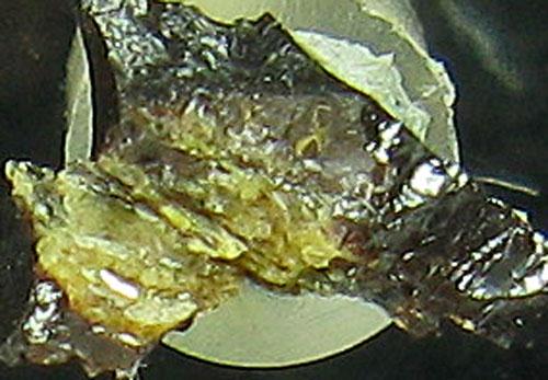 Liandratite On Fergusonite-(Y)