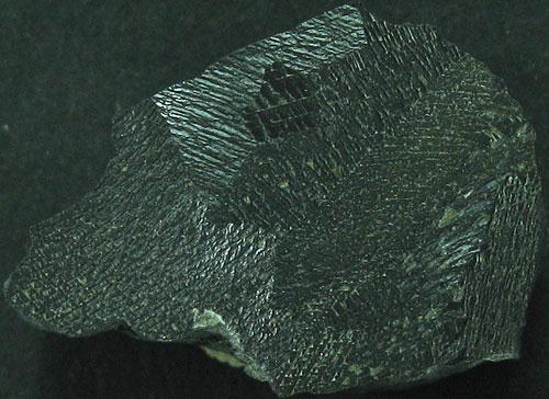 Shungite