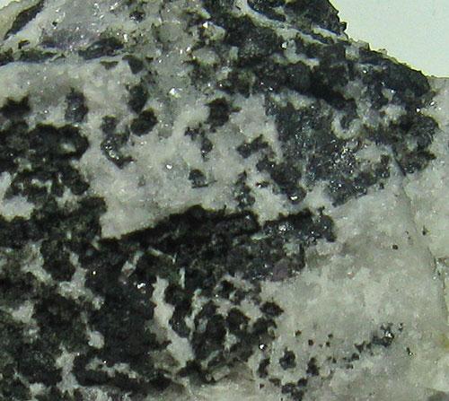 Tenorite