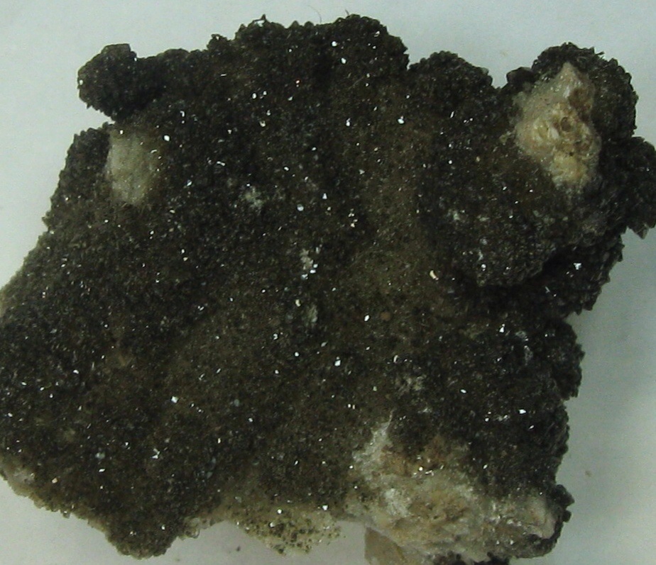 Todorokite On Colemanite