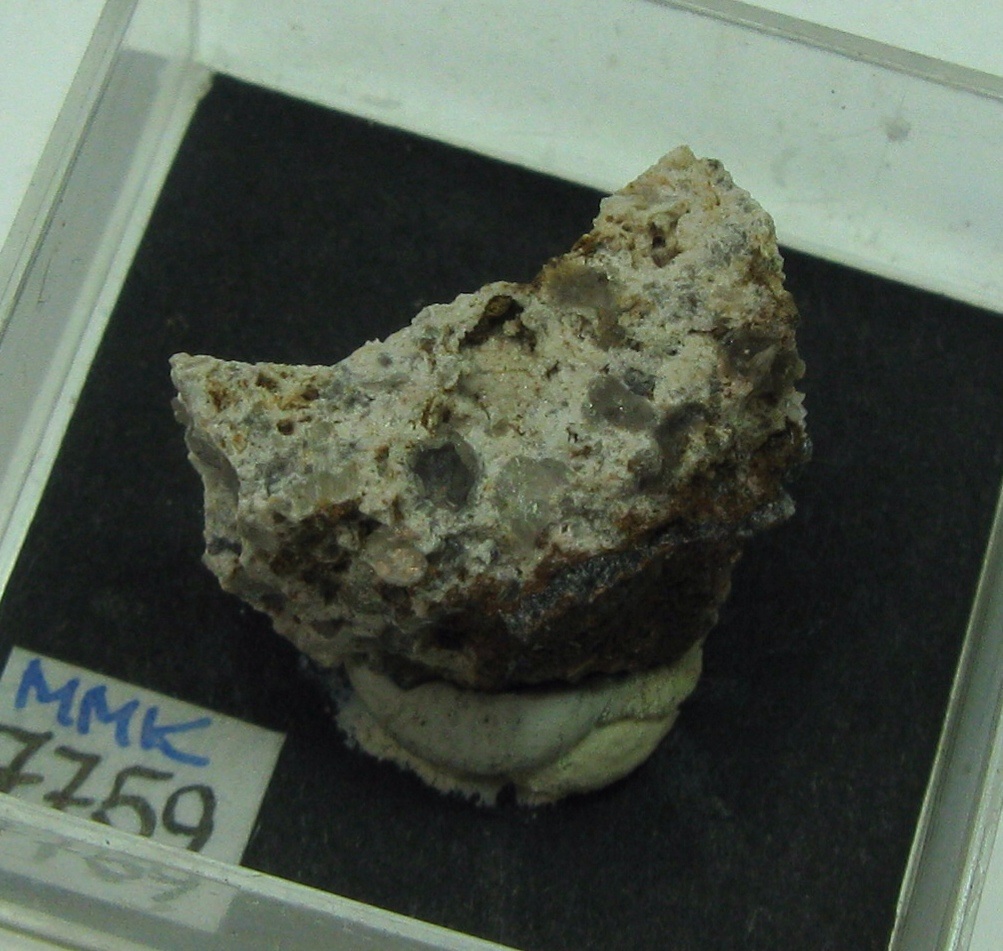 Tripuhyite