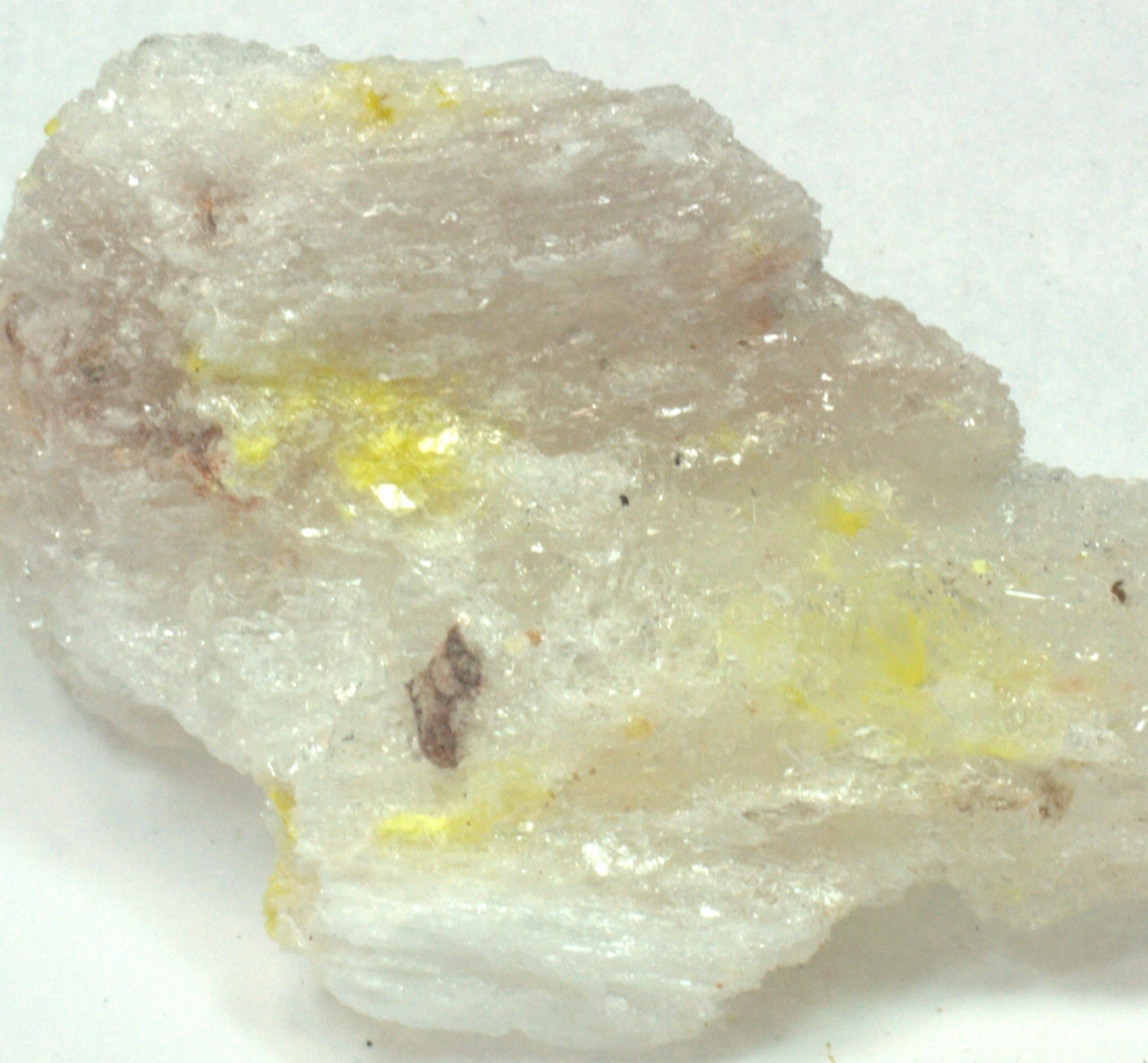 Sklodowskite On Gypsum