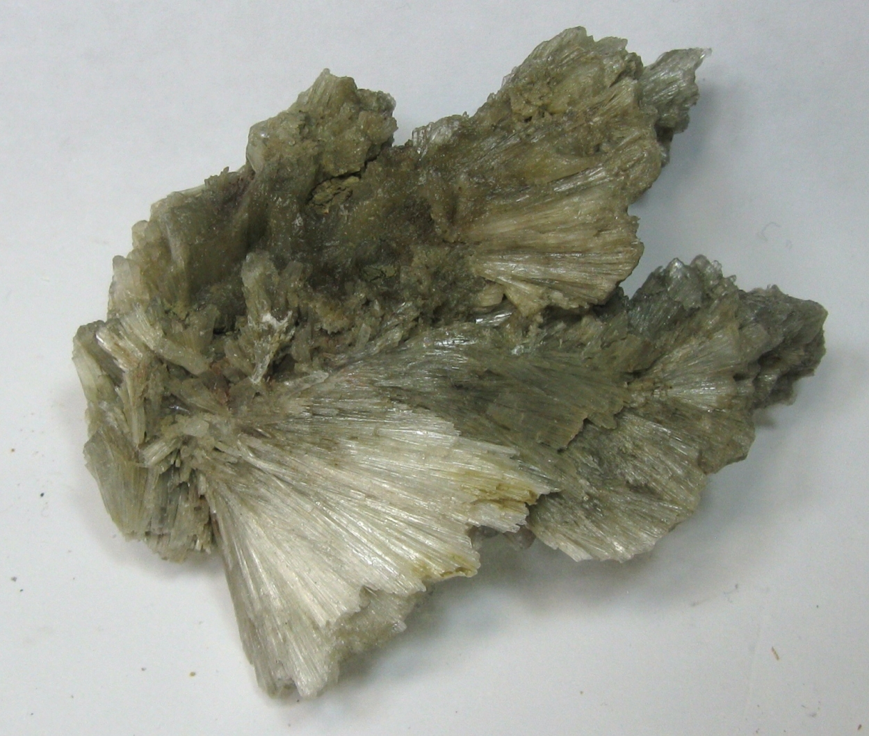 Probertite