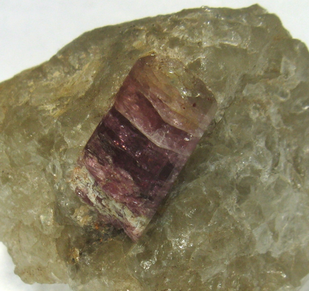 Liddicoatite