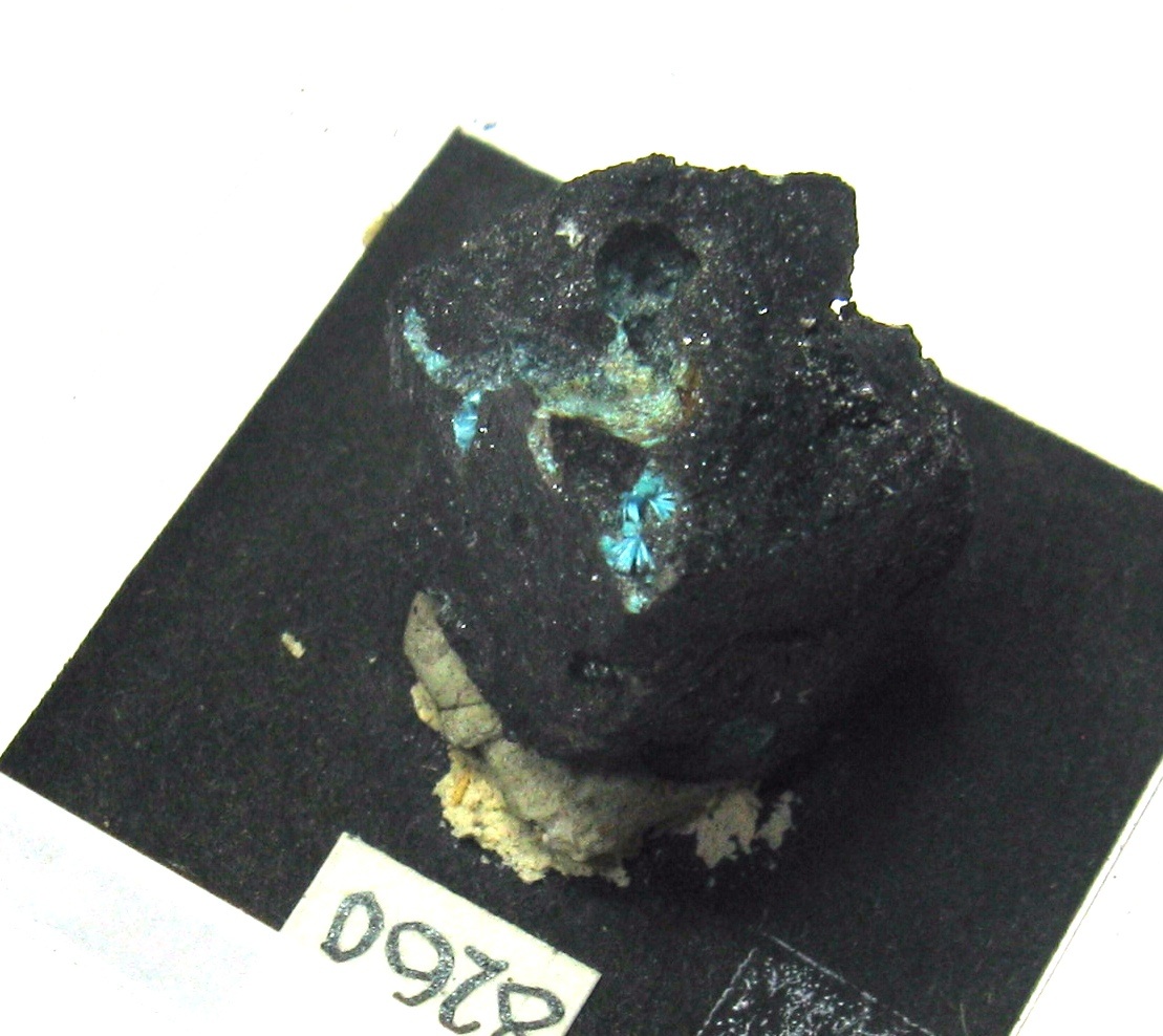 Schulenbergite & Serpierite & Devilline