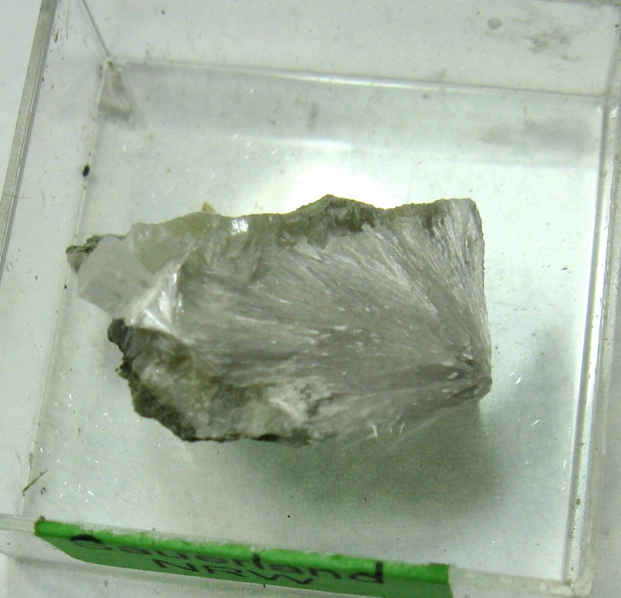 Pectolite