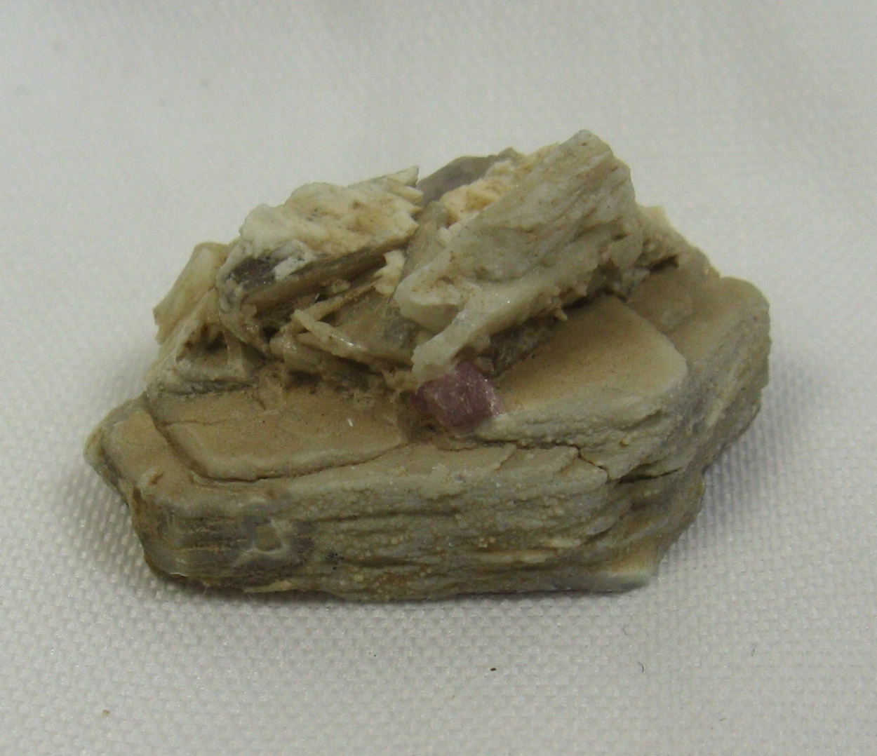 Tourmaline On Mica