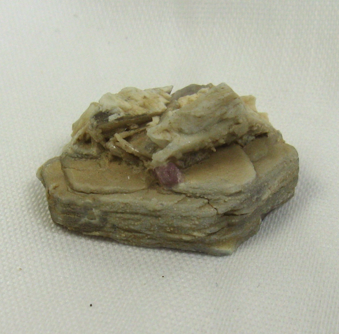 Tourmaline On Mica