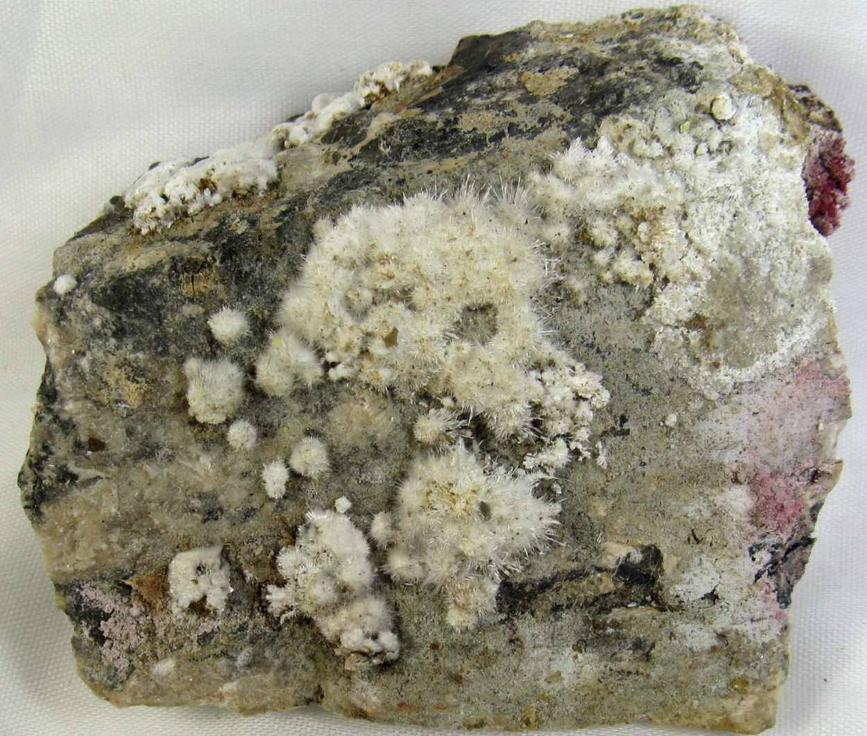 Picropharmacolite