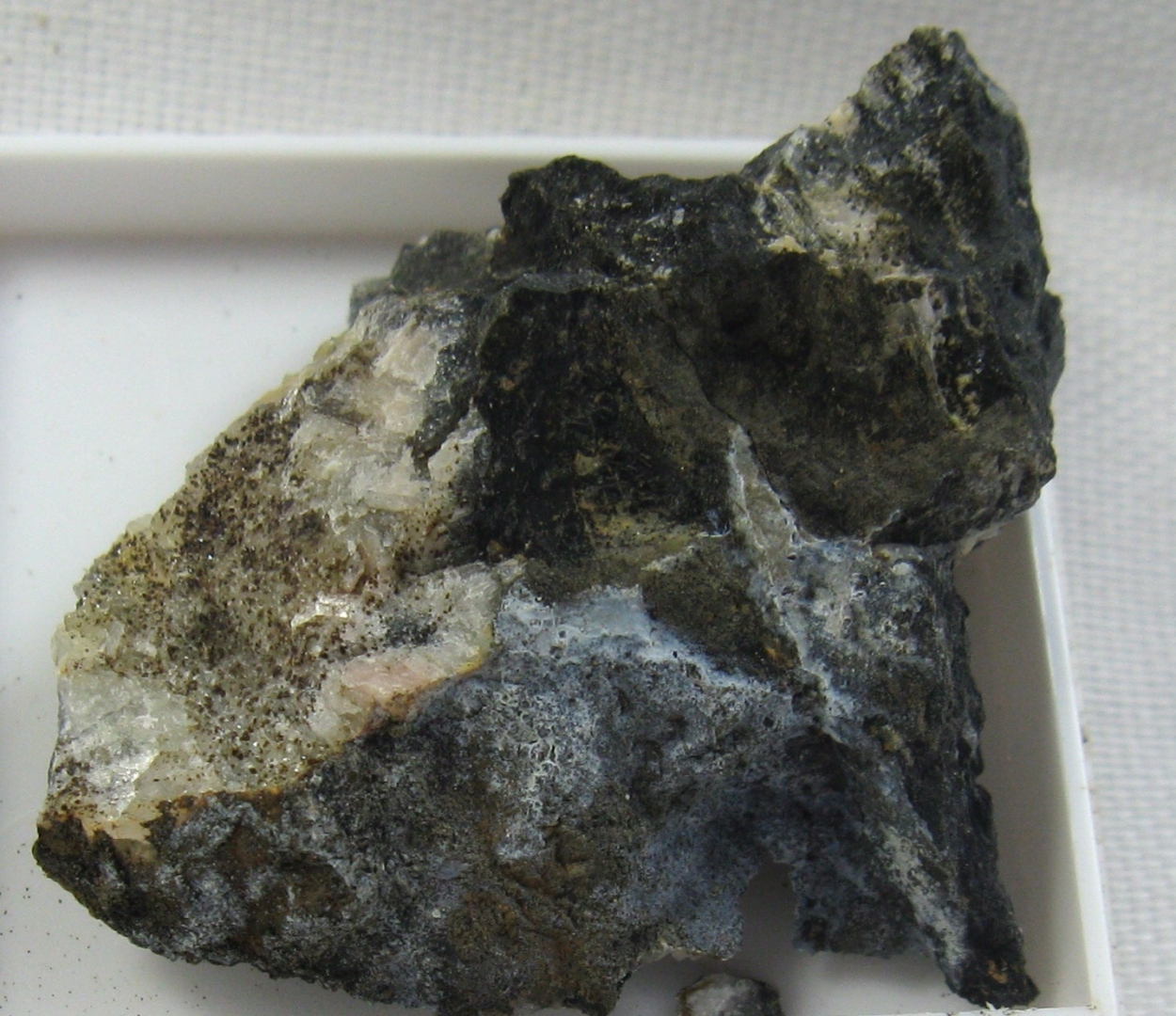 Znucalite