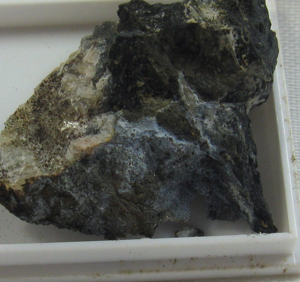 Znucalite