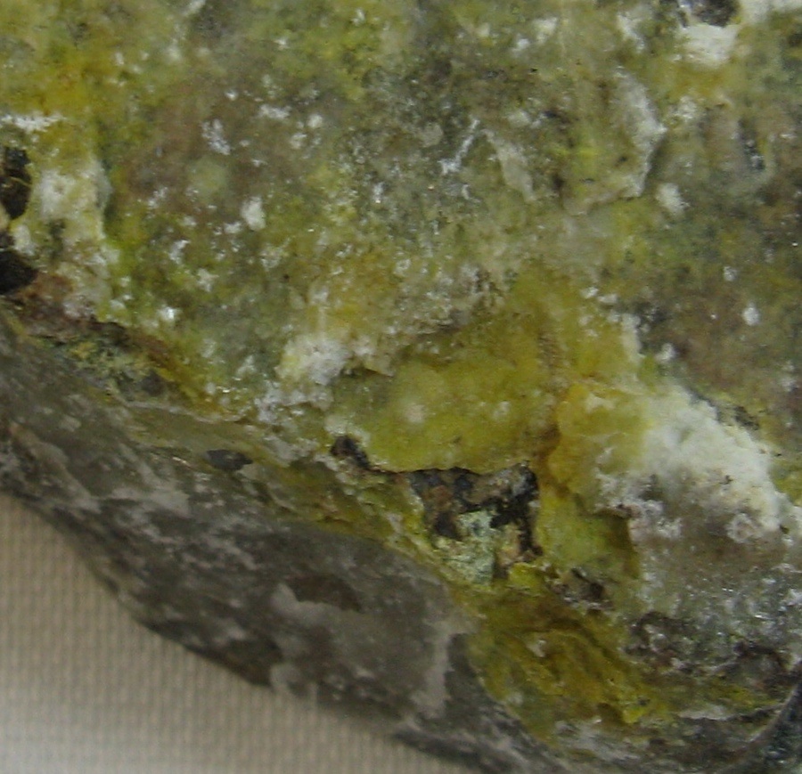 Schoderite