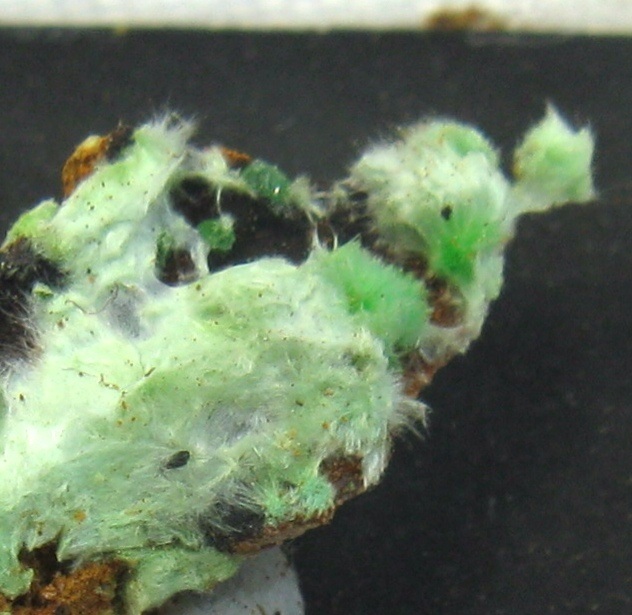 Agardite-(La)