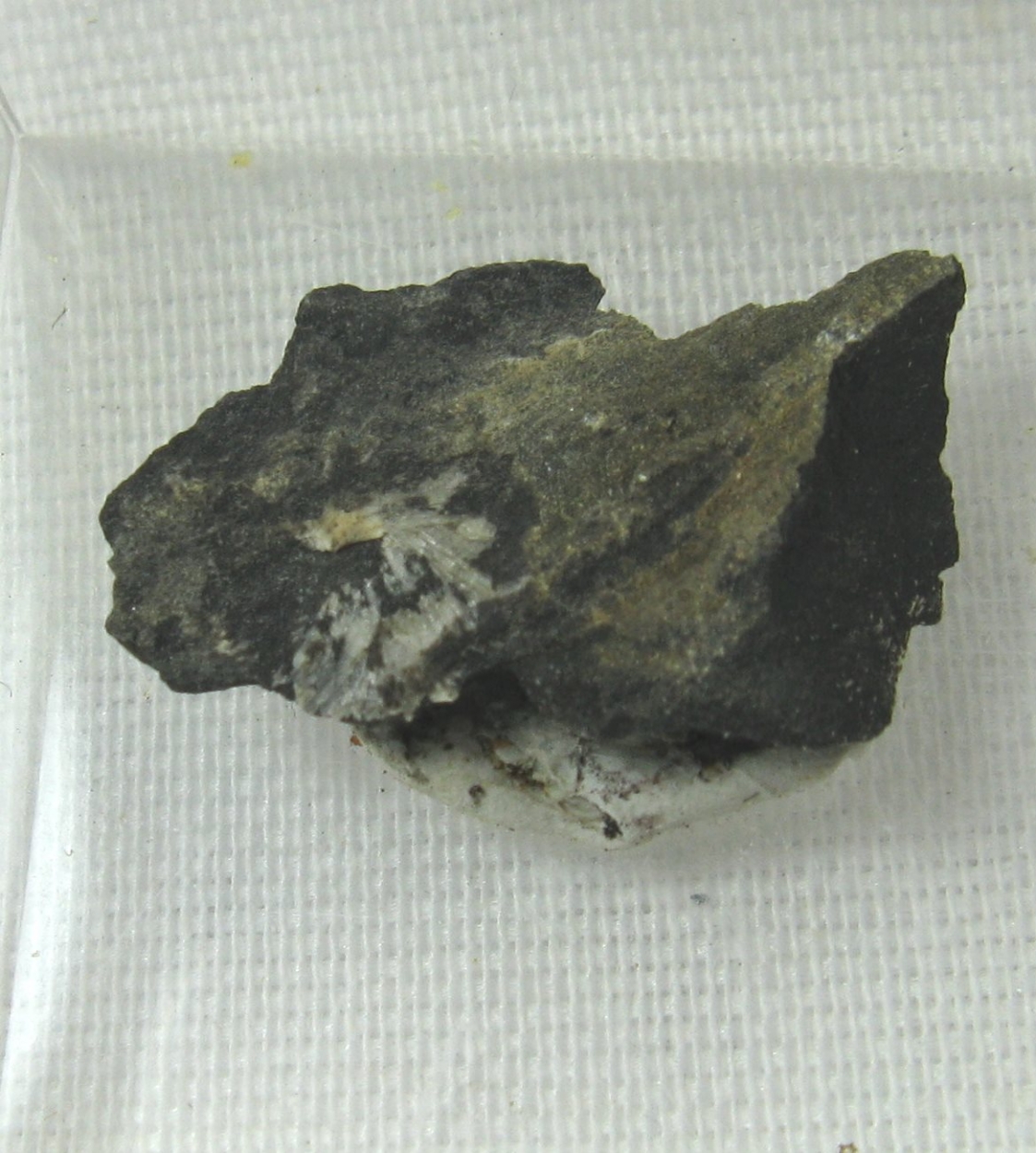 Collinsite