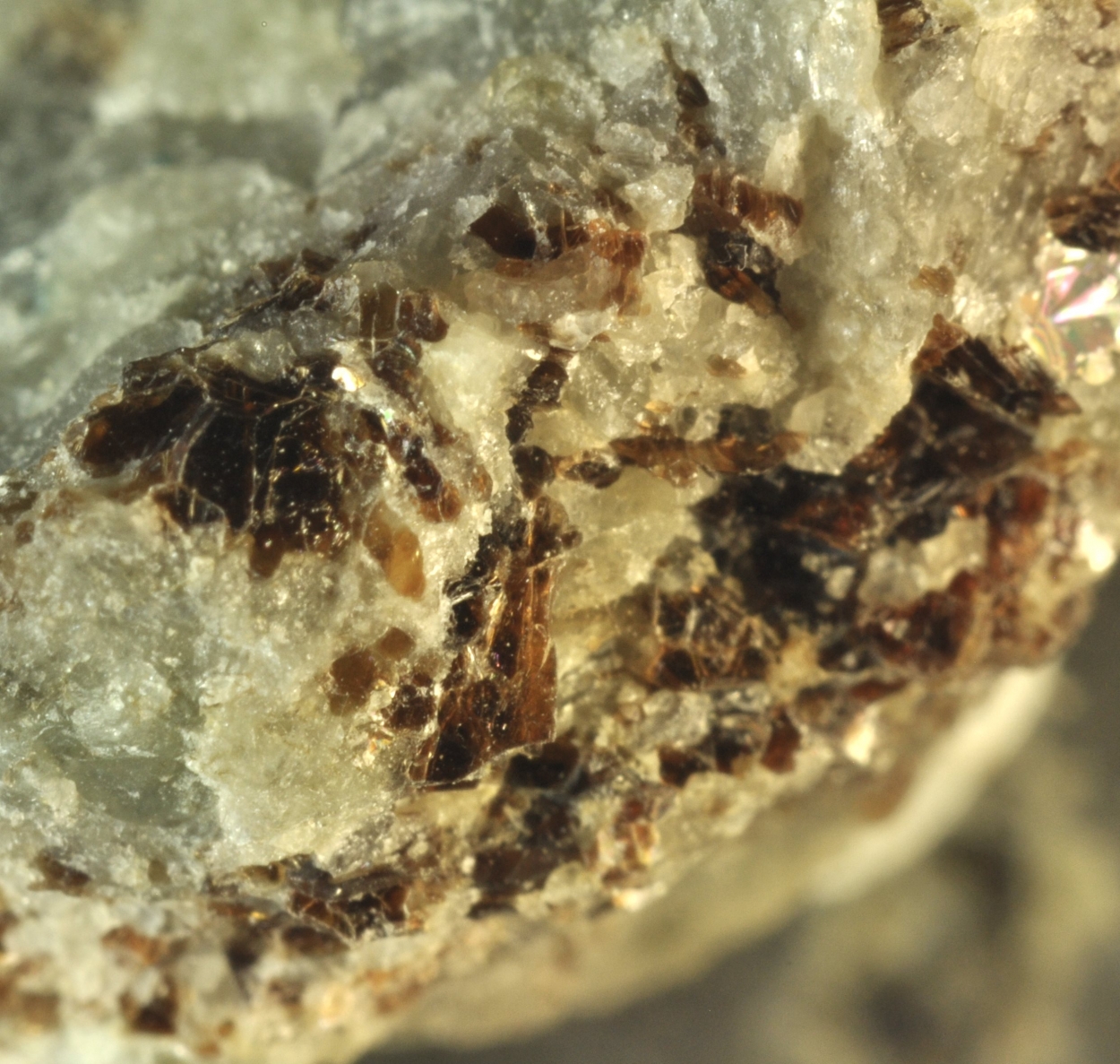 Serendibite