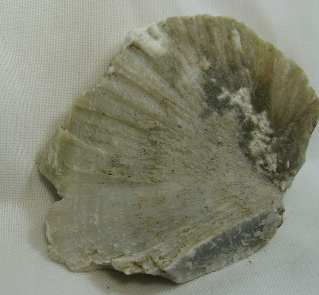 Ulexite