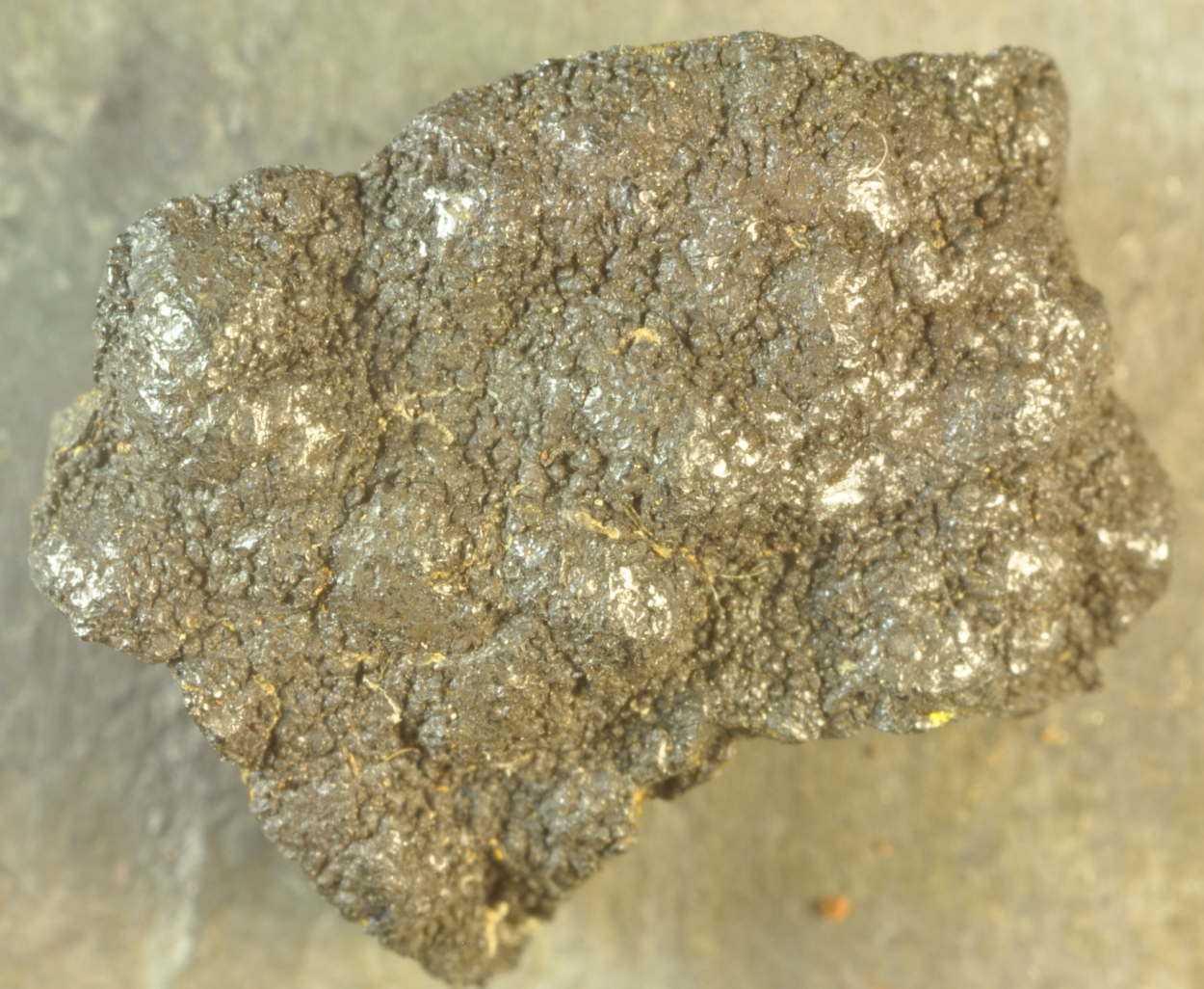 Manganese Nodule