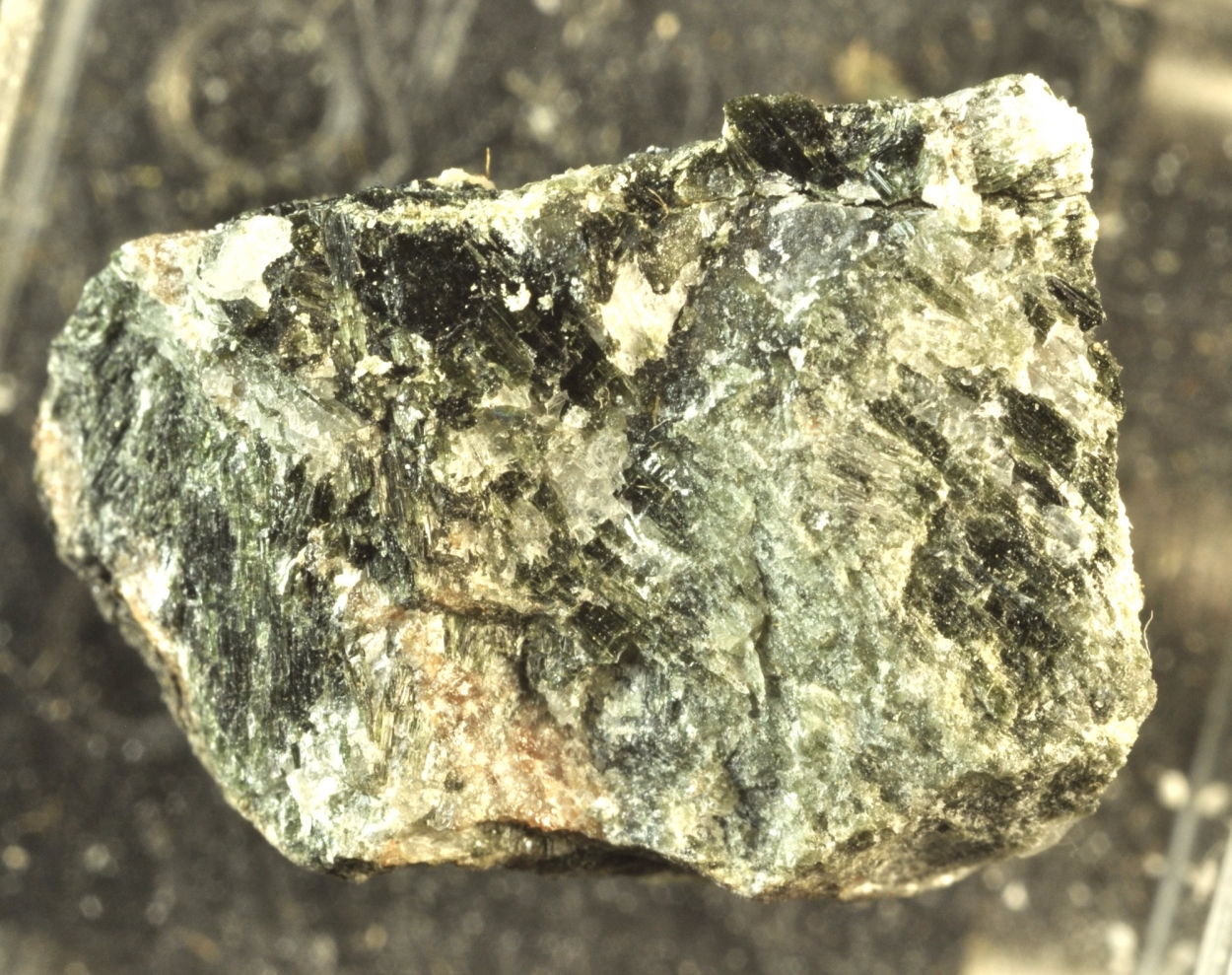 Actinolite