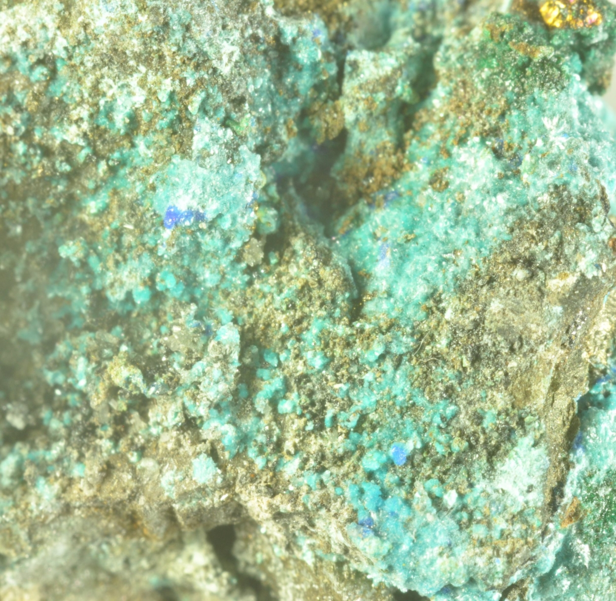 Serpierite