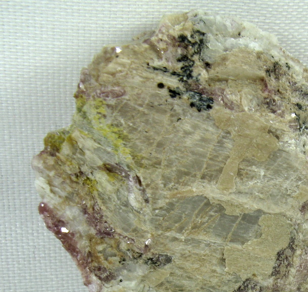 Bismutotantalite