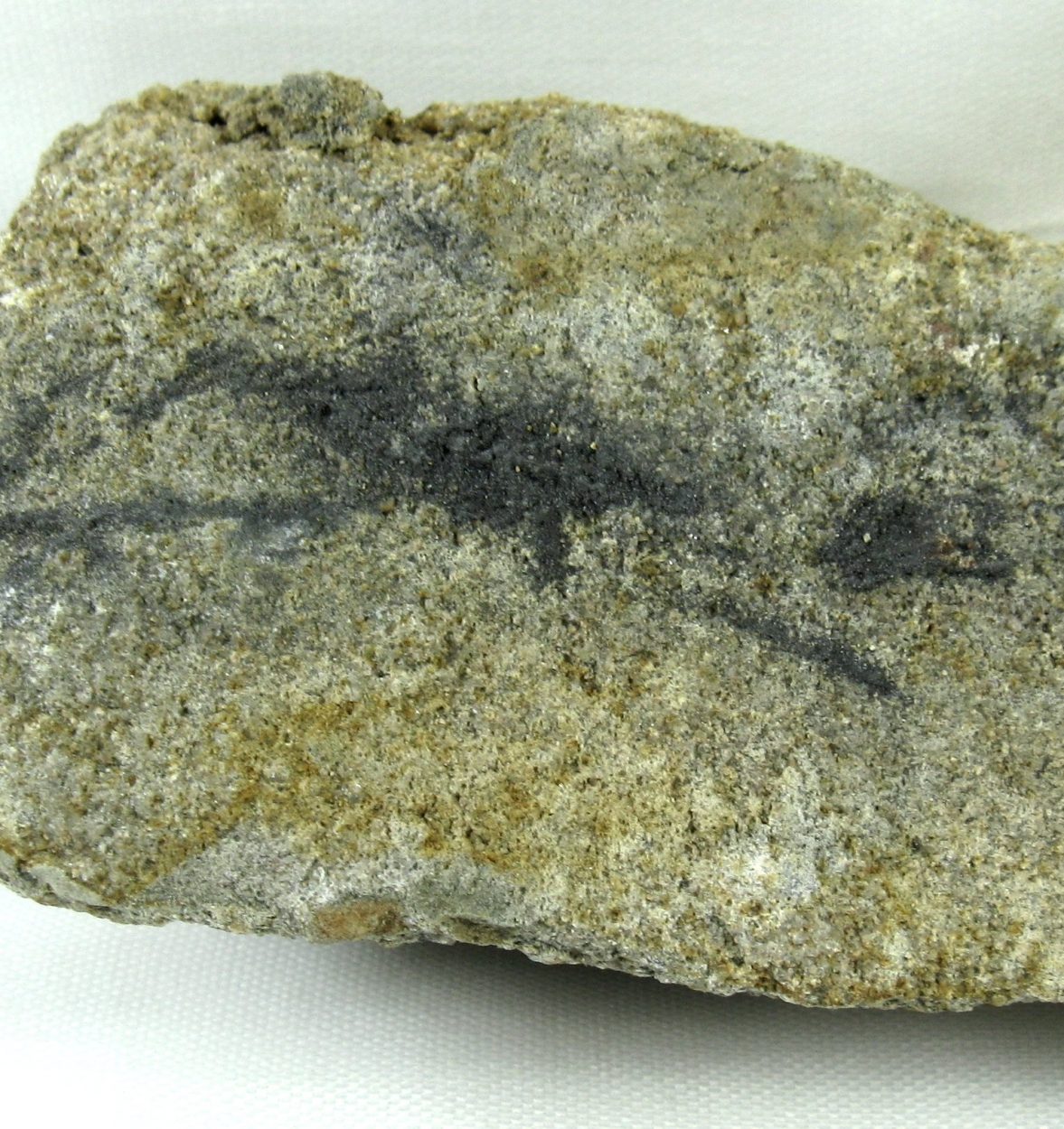 Native Selenium